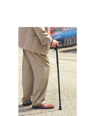 FOLDING WALKING STICK