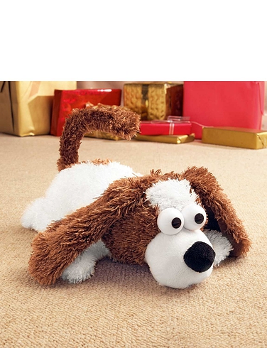 Roly the Dog