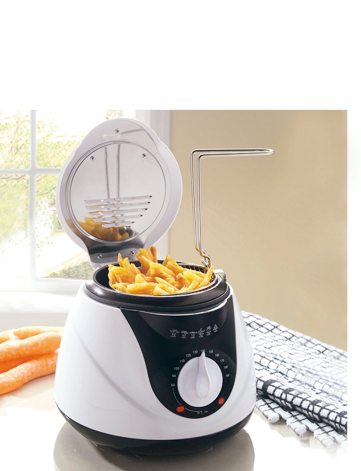 Small Deep Fryer