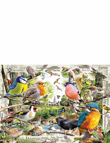 Ravensburger Our Feathered Friends 1000pc Jigsaw