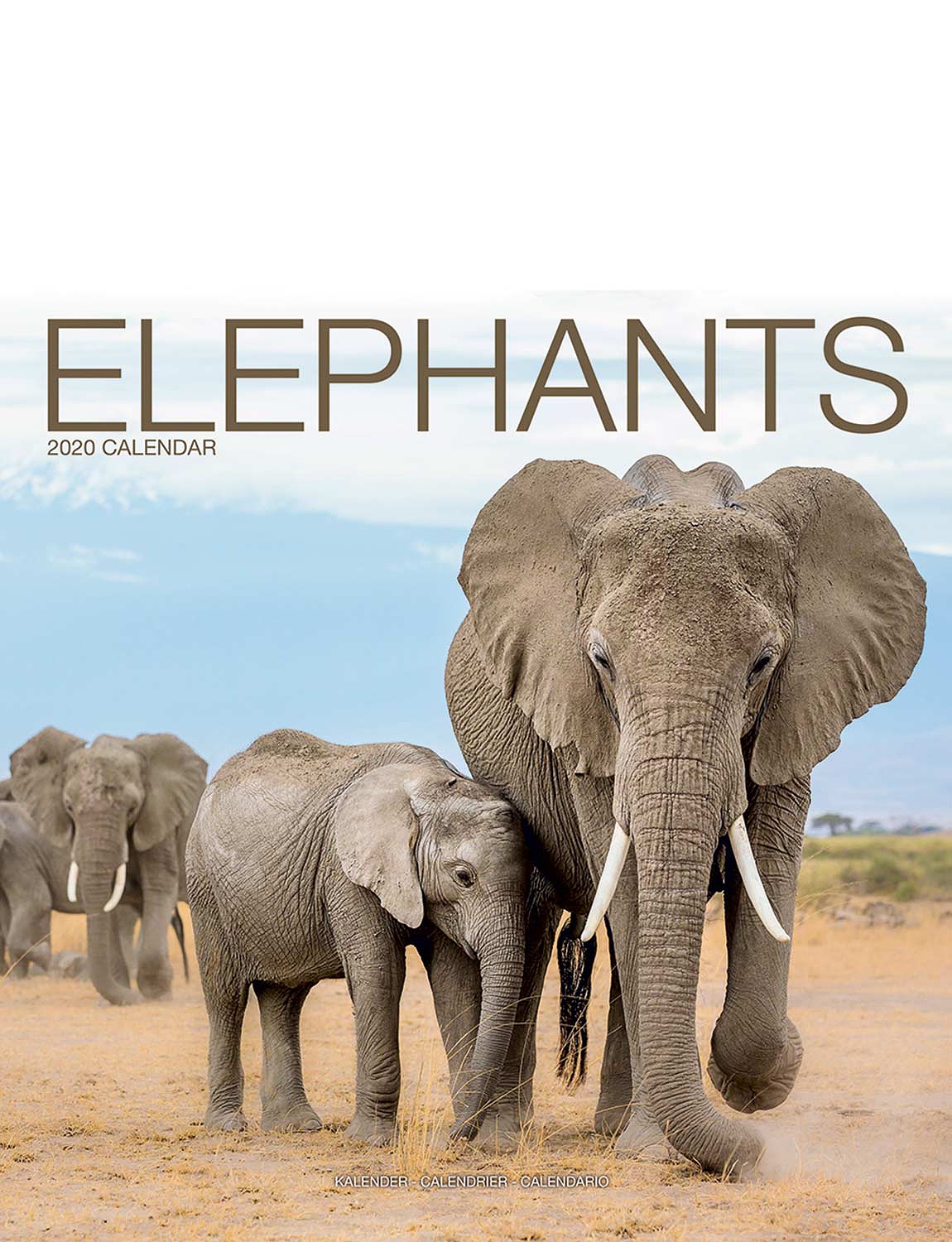 Elephants Calendar Chums