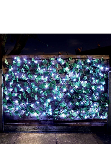 Expanding Ivy Trellis With Solar Lights