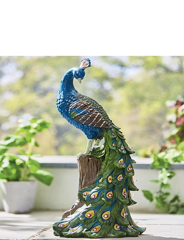 Solar Powered LED Peacock