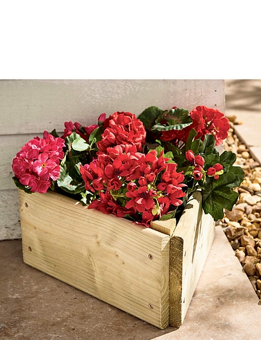 Home Gardening - Chums