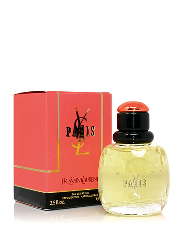 YSL Paris