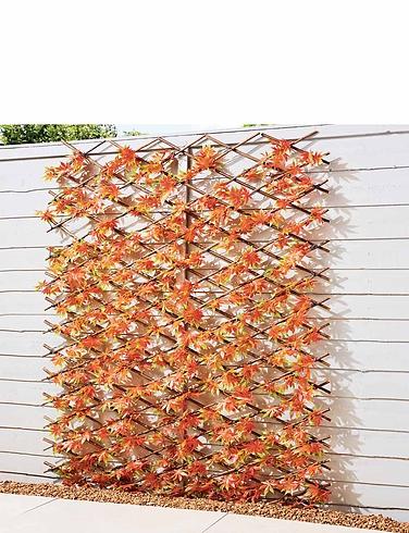 Red Acer Leaf Expanding Trellis
