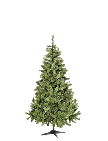 4 Foot Colorado Spruce Christmas Tree