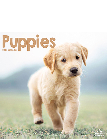 Puppies 2024 Luxury Calendar