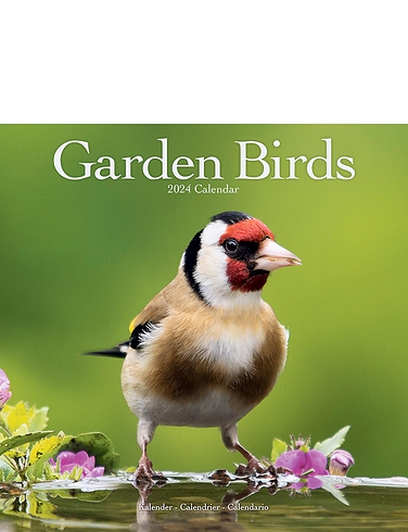 Garden Birds 2024 Luxury Calendar