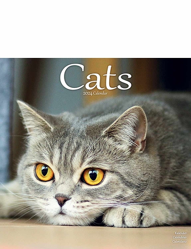 Cats 2024 Luxury Calendar