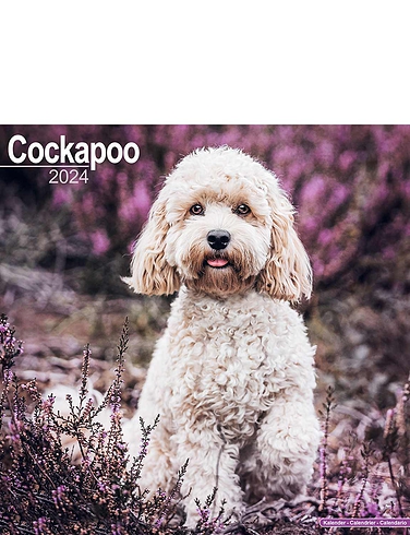 Cockapoos 2024 Luxury Calendar