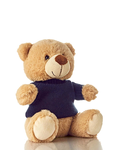 Traditional Teddy Bear With Jumper