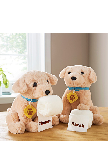 Labrador Puppies