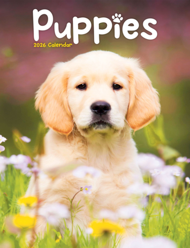 Puppies Luxury 2025 2026 Calendar