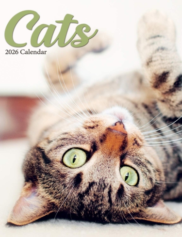 Cats Luxury 2025 2026 Calendar