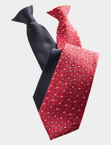 Pack of 2 Clip-On Ties