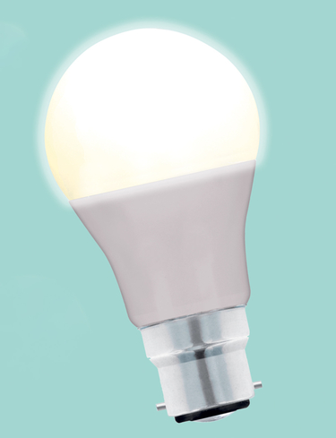 Status 8W Lifetime Replacement Bayonet Bulb