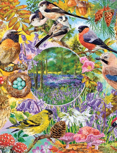 Gibsons Wings In the Wild 4 x 500 Piece Jigsaw Set