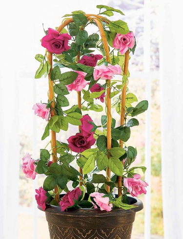 Set of 3 Bamboo Loop Supports