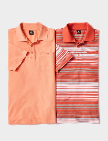 Pegasus 2 Pack Stripe Plain Pique Polo